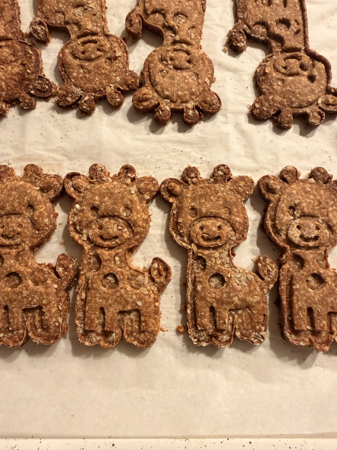 Safari Snacks peanut butter and banana dog treats from OBA Cookies